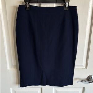 Elegant Navy Blue Women's Skirt